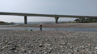 大井川(大井川(非)漁業協同組合) 釣果