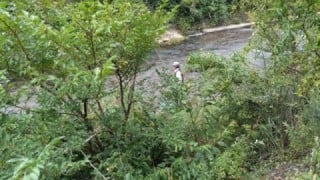 大井川（大井川(非)漁業協同組合） 釣果