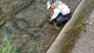 大井川(大井川(非)漁業協同組合) 釣果