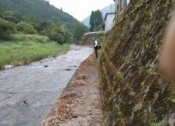 大井川(大井川(非)漁業協同組合) 釣果