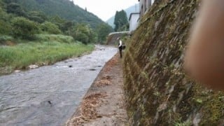 大井川(大井川(非)漁業協同組合) 釣果