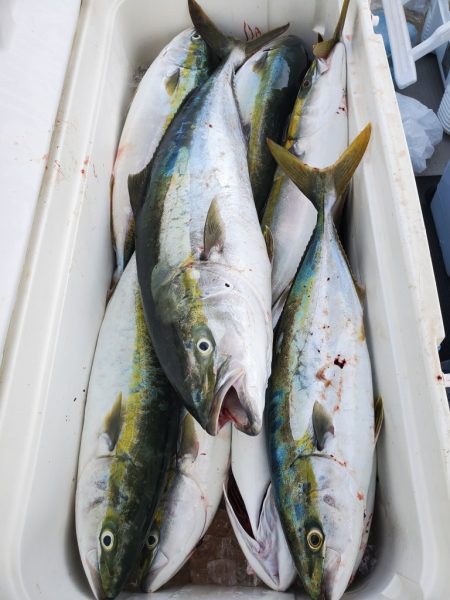 武士(SAMURAI) 釣果