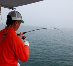 遊漁船 幸友丸 釣果