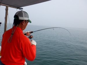 遊漁船 幸友丸 釣果