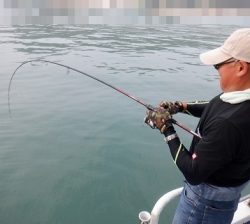 遊漁船 幸友丸 釣果