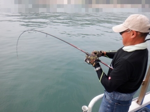 遊漁船 幸友丸 釣果