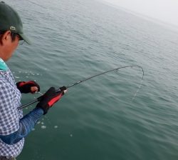 遊漁船 幸友丸 釣果