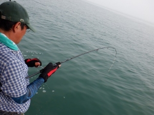 遊漁船 幸友丸 釣果