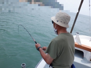 遊漁船 幸友丸 釣果