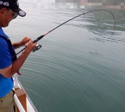 遊漁船 幸友丸 釣果