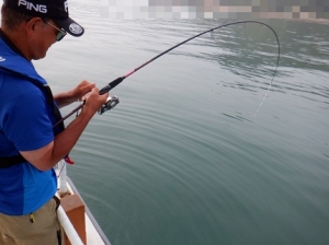 遊漁船 幸友丸 釣果