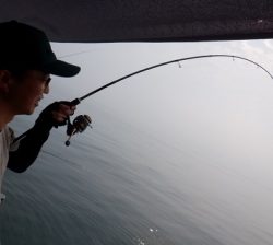 遊漁船 幸友丸 釣果