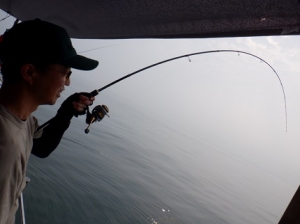 遊漁船 幸友丸 釣果