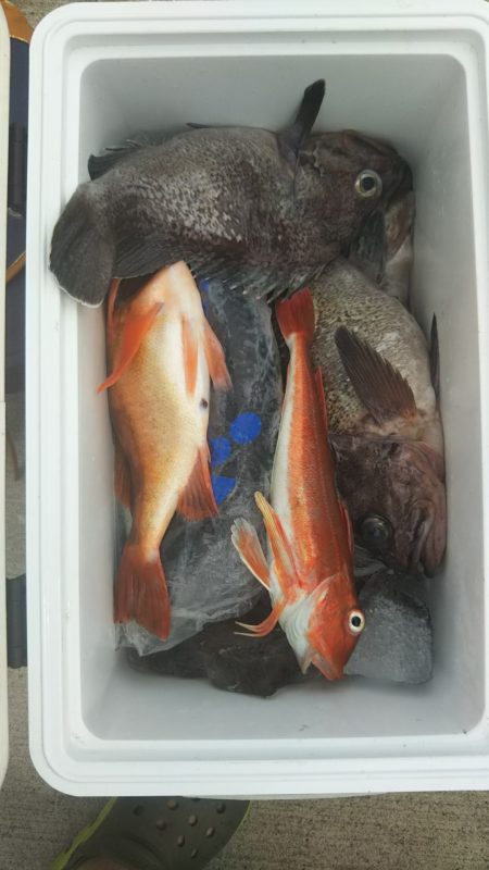 モンロー号 釣果