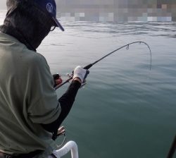 遊漁船 幸友丸 釣果