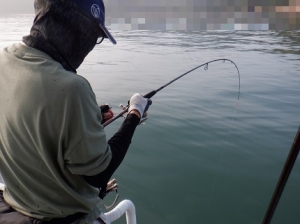 遊漁船 幸友丸 釣果
