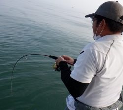 遊漁船 幸友丸 釣果