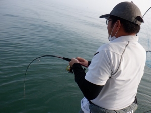 遊漁船 幸友丸 釣果