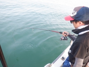 遊漁船 幸友丸 釣果