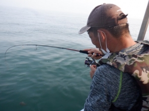 遊漁船 幸友丸 釣果