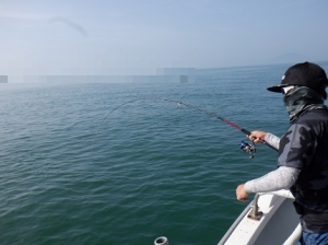 遊漁船 幸友丸 釣果