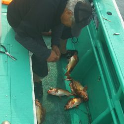 モンロー号 釣果