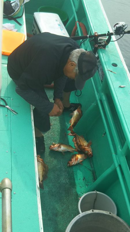 モンロー号 釣果