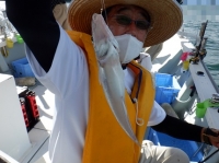 遊漁船 幸友丸 釣果