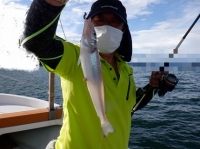 遊漁船 幸友丸 釣果