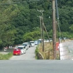 大井川(大井川(非)漁業協同組合) 釣果