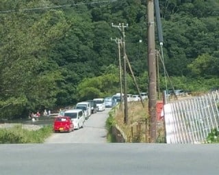 大井川(大井川(非)漁業協同組合) 釣果