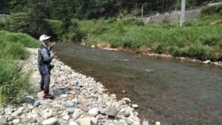 大井川（大井川(非)漁業協同組合） 釣果