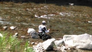 大井川(大井川(非)漁業協同組合) 釣果