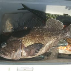 モンロー号 釣果