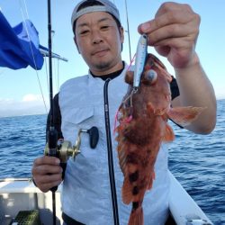 ブルーピア 釣果