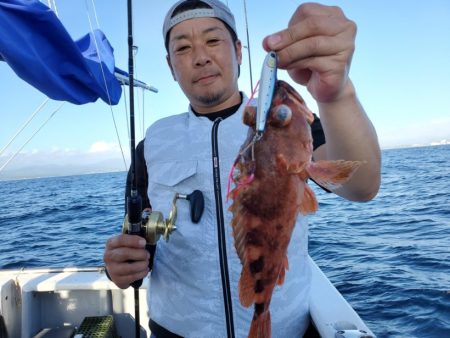 ブルーピア 釣果