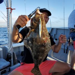 ブルーピア 釣果