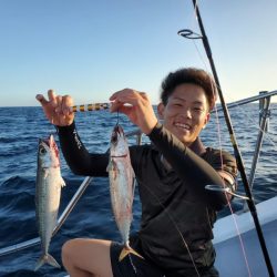 ブルーピア 釣果