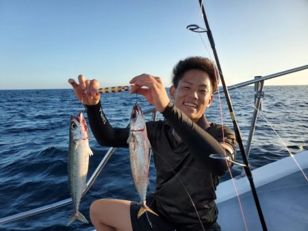 ブルーピア 釣果