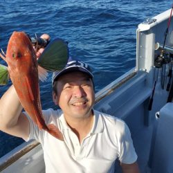 ブルーピア 釣果