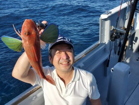 ブルーピア 釣果