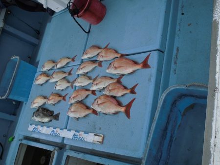 十八宝洋丸 釣果