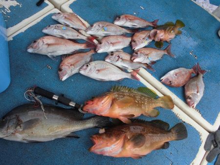 十八宝洋丸 釣果