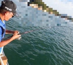 遊漁船 幸友丸 釣果