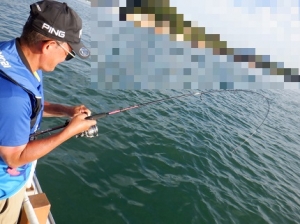 遊漁船 幸友丸 釣果