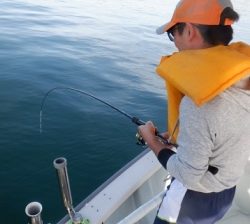 遊漁船 幸友丸 釣果