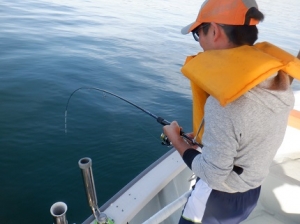 遊漁船 幸友丸 釣果