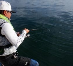 遊漁船 幸友丸 釣果