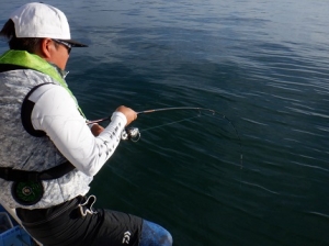 遊漁船 幸友丸 釣果