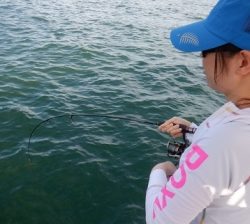 遊漁船 幸友丸 釣果